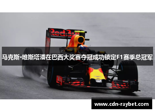 马克斯·维斯塔潘在巴西大奖赛夺冠成功锁定F1赛季总冠军